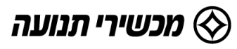 צמיגי ברידגסטון
